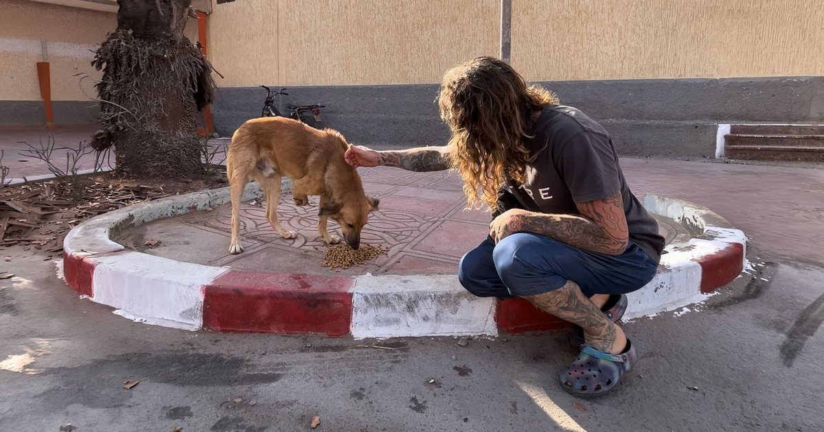 Early morning routine, the ordinary daily practice that keeps you sober after treatment ends