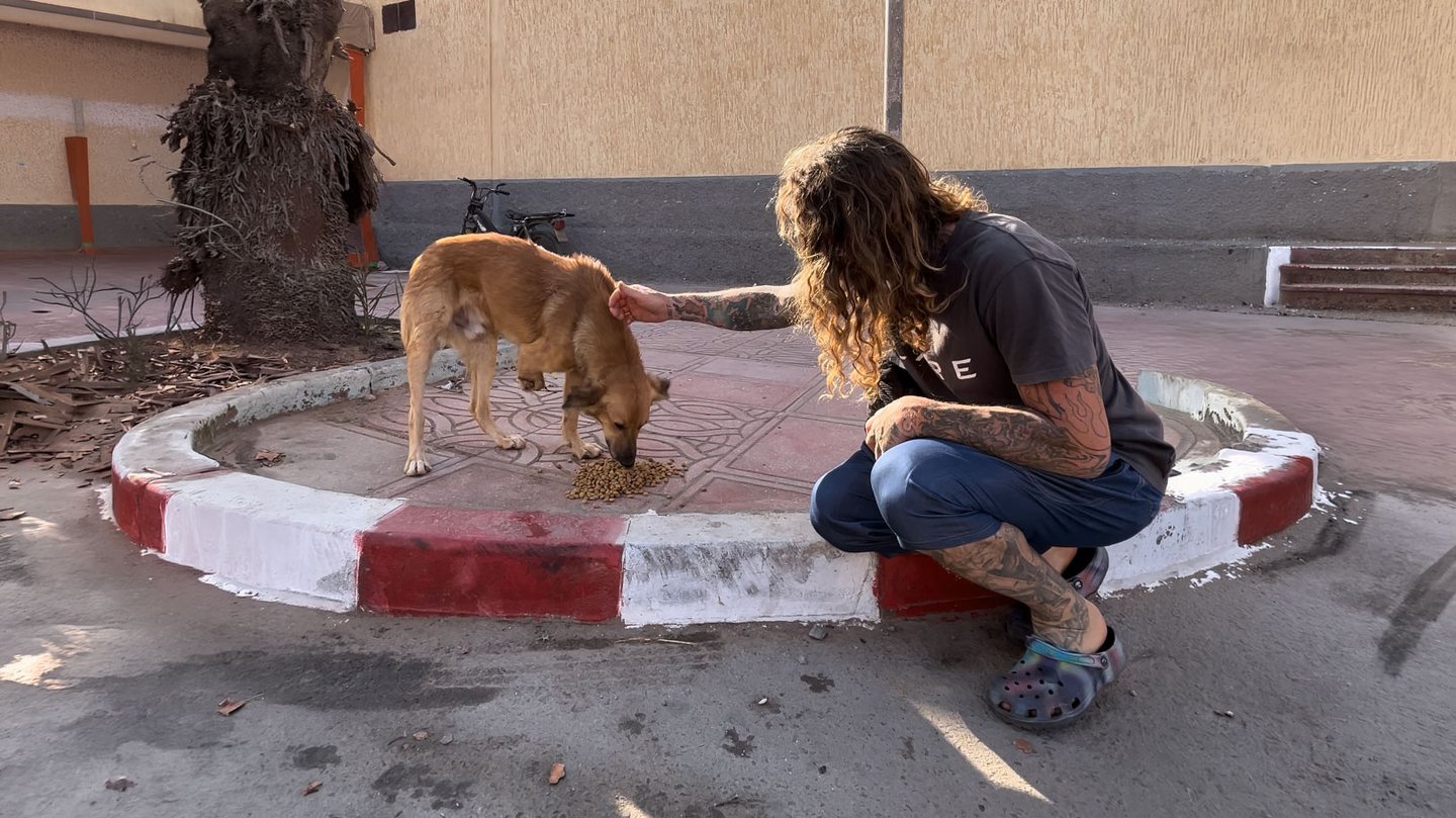 Feed A Stray A Day -- Jamie Leibert crouching to feed a stray dog in Jordan as part of the global community movement active in 80+ countries